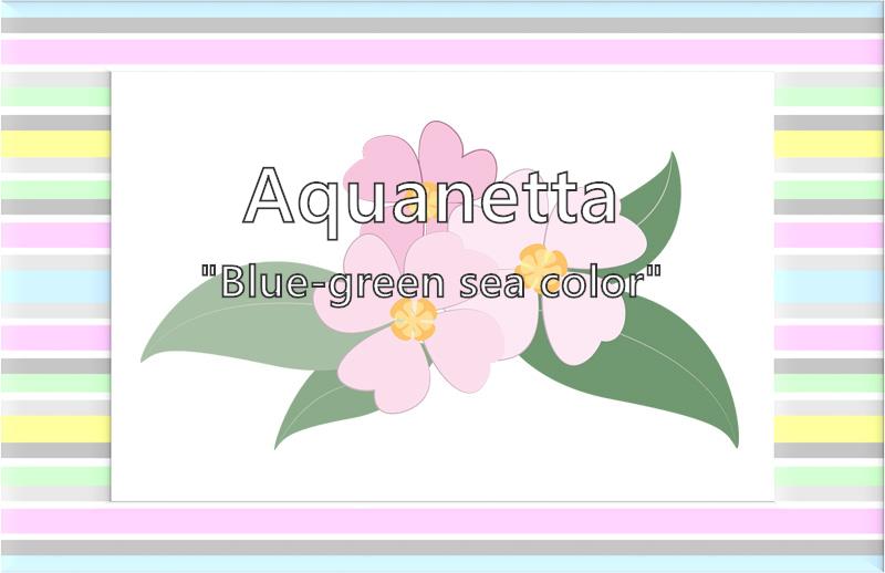 Aquanetta Name Meaning Popularity Similar Names Nicknames And Personality For Aquanetta