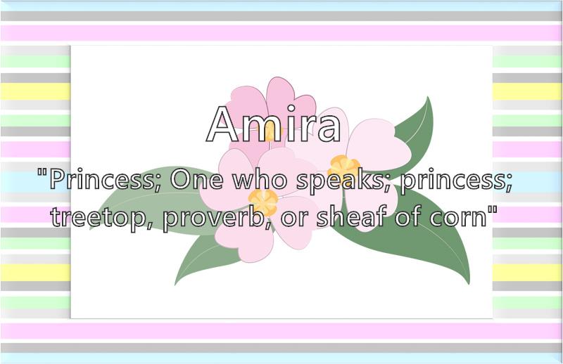 Amira - What does the girl name Amira mean? (Name Image)