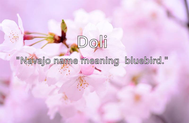 what does doli mean