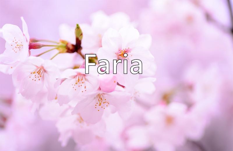 Faria What Does The Girl Name Faria Mean Name Image