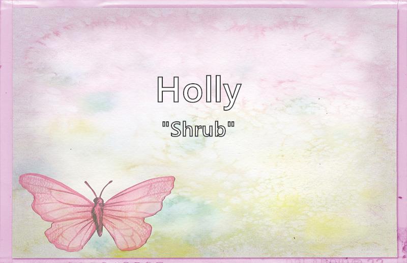 holly-what-does-the-girl-name-holly-mean-name-image