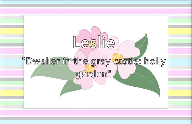 Leslie What does the girl name Leslie mean? (Name Image)