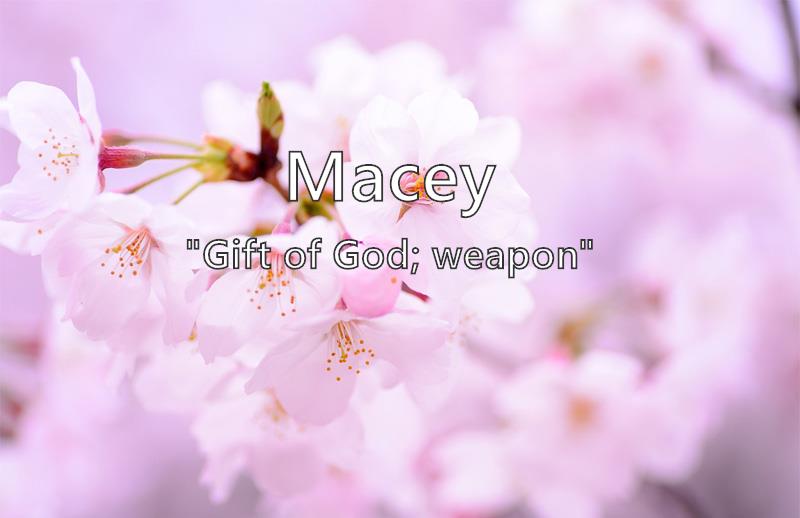 Macey - What does the girl name Macey mean? (Name Image)