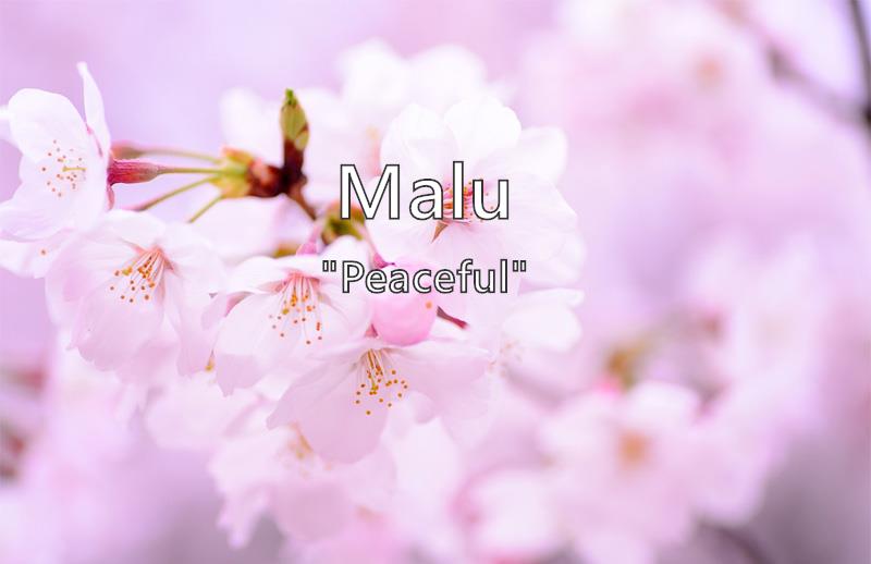 malu-what-does-the-girl-name-malu-mean-name-image